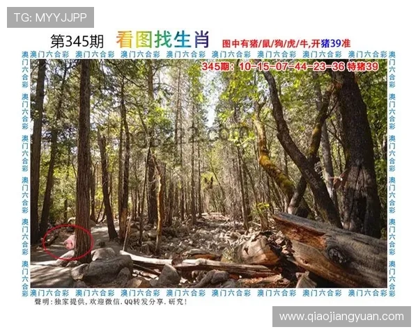 澳门财神客户端最新版本下载安装指南，全面提升您的游戏体验与安全保障